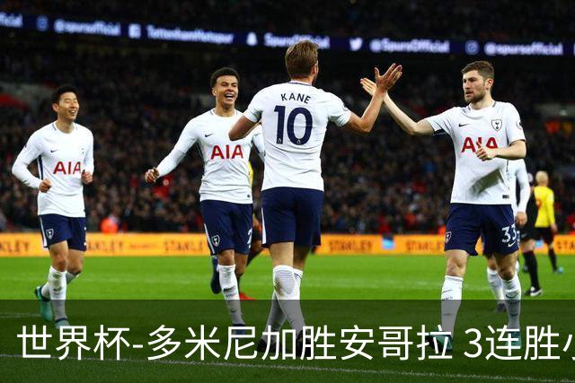世界杯-多米尼加胜安哥拉 3连胜小组第一晋级